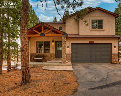 1381 Evergreen Heights Drive, Woodland Park