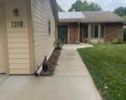 1310 Campbell Boulevard, Raymore image