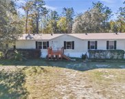 156 Sw Place, Dunnellon image