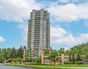 280 Ross Drive Unit 806, New Westminster image
