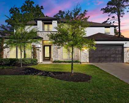 132 Thunder Valley Drive, Tomball