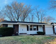 10631 Aylesford  Drive, St Louis image