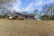 107 Sharps Cove Road, Gurley image