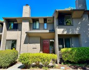 6 Willow Lane, Sausalito image