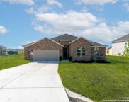 117 Willow Oak, Floresville image