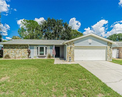 12807 Tallowood Drive, Riverview