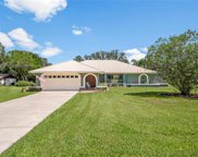 11310 Pine Forest Drive, New Port Richey image