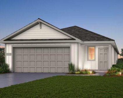 26319 Cedar Sedge Drive, Magnolia