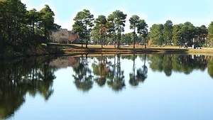 Plantation Lakes
