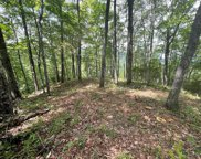 00 Crossvine Drive, Tuckasegee image