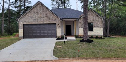 12155 Maverick Drive, Willis