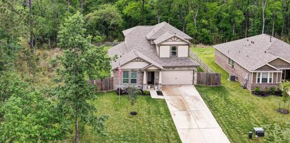 2339 La Salle Woods, Conroe