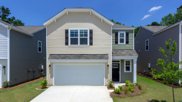 1060 Sago Palm Court, Mount Pleasant image