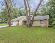 81 Hollow Branch Crossing, Ormond Beach image