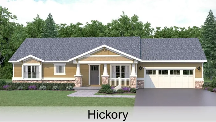 Hickory