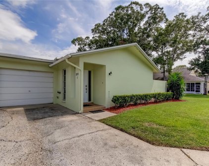 2828 Sherbrooke Lane Unit D, Palm Harbor