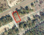 Se 113th St Road, Ocala image