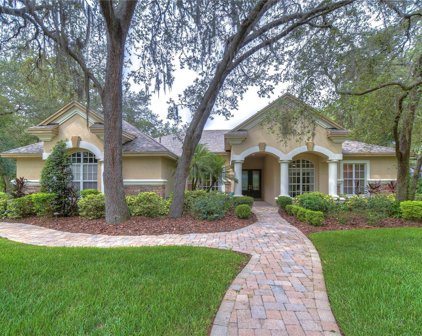 17846 Mission Oak Drive, Lithia