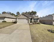 164 Hidden Trace Court, Montevallo image
