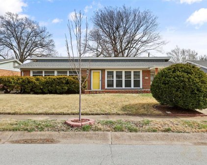 1144 Burch  Lane, University City