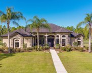 175 Farrier Pass, New Smyrna Beach image
