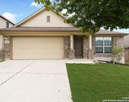 332 Buckboard Ln, Cibolo image