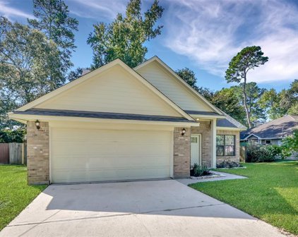 9020 Zapata Way, Willis