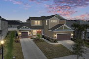 6967 Talamore Drive, Wesley Chapel image