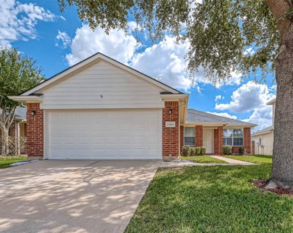 15810 Aldridge Creek Court, Cypress