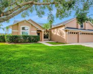11920 Timberhill Drive, Riverview image