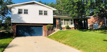 9724 Jackie  Lane, St Louis