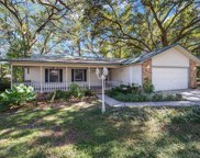 110 Teak Road, Ocala image