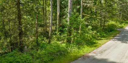 26043 SE 156 Street, Issaquah