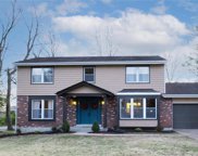 9206 Castle Ragh  Court, St Louis image