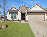 832 Basket Willow Terrace, Fort Worth image
