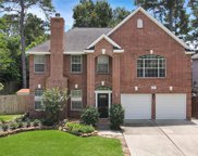 13503 Spring Court, Tomball image