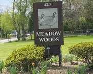 423 Meadow Woods   Lane Unit #301, Trenton image
