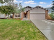 8126 Carr Court, Arvada image