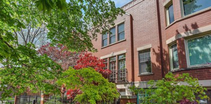 1020 W Grace Street, Chicago