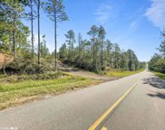 11865 Red Hill Rd Ext Unit Lot 3, Bay Minette image