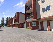 1735 Agassiz-Rosedale No 9 Highway Unit 336, Agassiz image