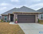 147 Midpark Drive, Meridianville image