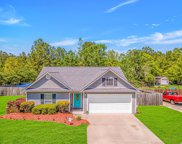 222 Cattail Bay Dr., Conway image