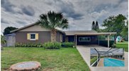 6353 Flamingo Drive, Apollo Beach image