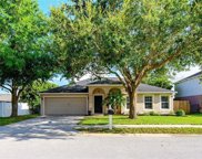 319 Velveteen Place, Chuluota image