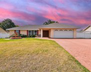 4424 Mohican Trail, Valrico image
