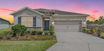 31662 Tansy Bend, Wesley Chapel