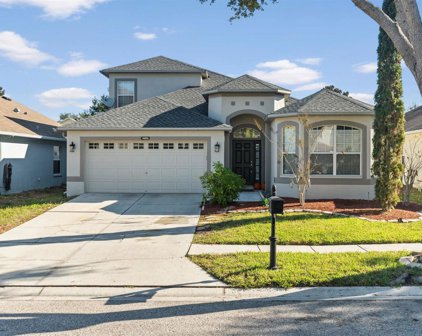 10024 Coldwater Loop, Land O' Lakes