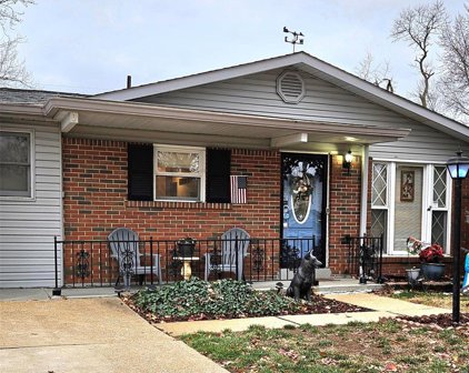 10426 Fourwinds  Court, St Louis