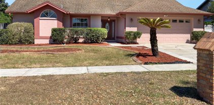 649 Rapid Falls Drive, Brandon